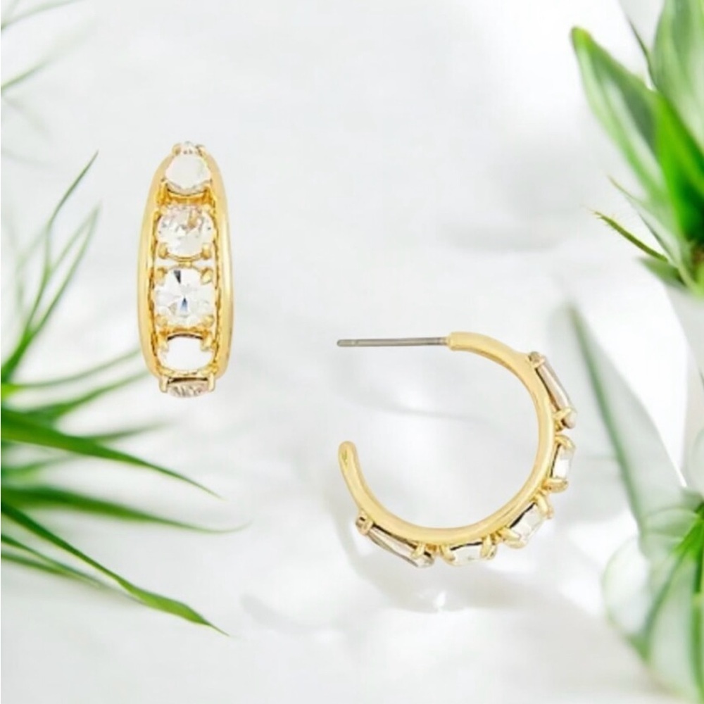 🆕J.Crew Crystal Hoop Earrings - Picture 2 of 16